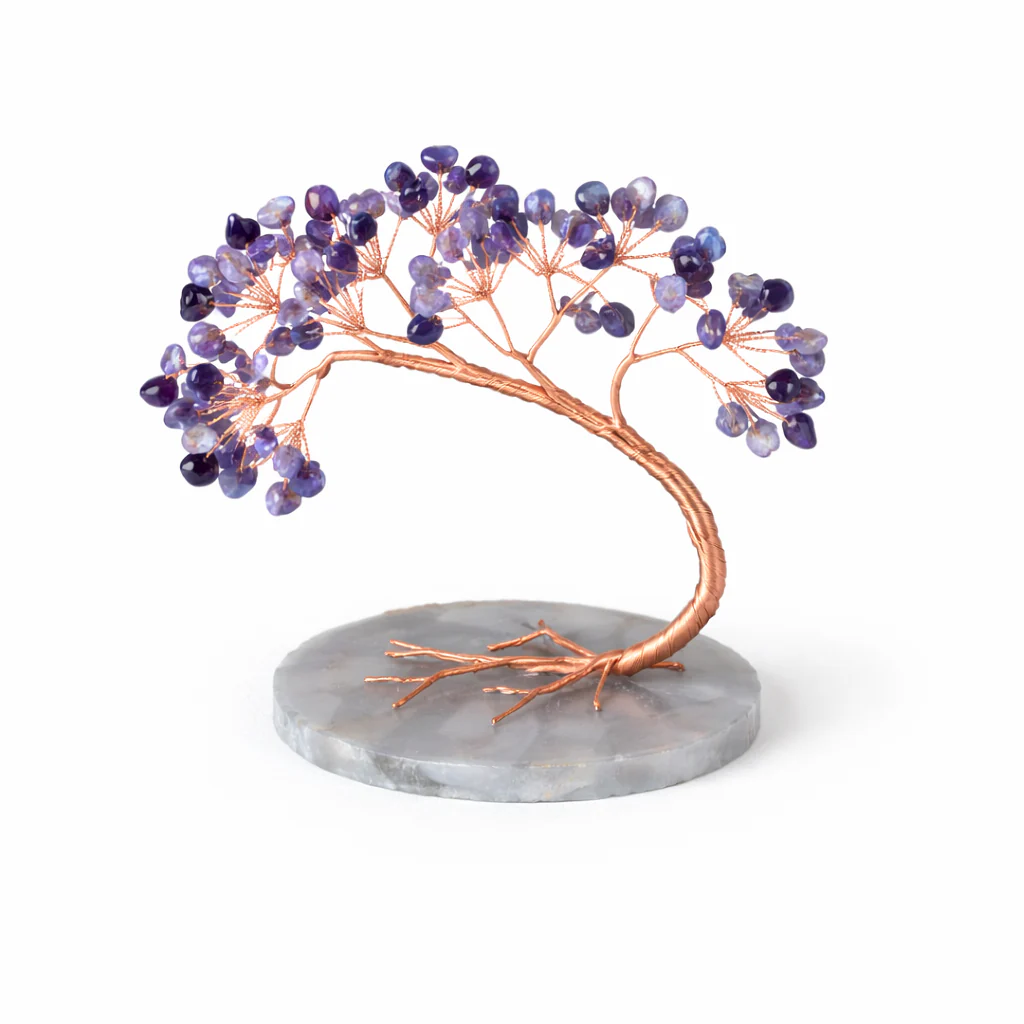 Miniatuur 3