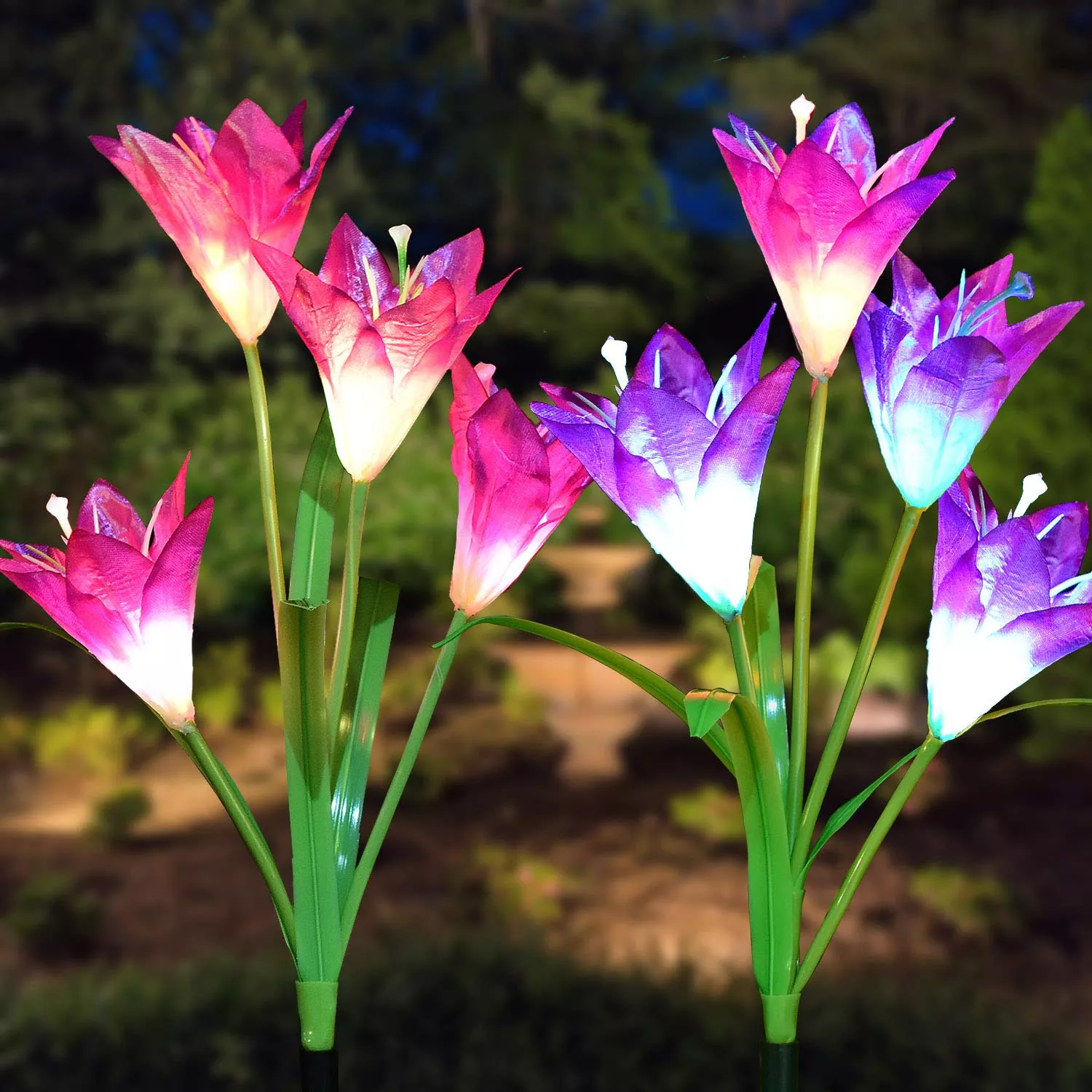 Miniatuur 3