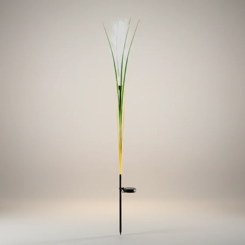 Miniatuur 5
