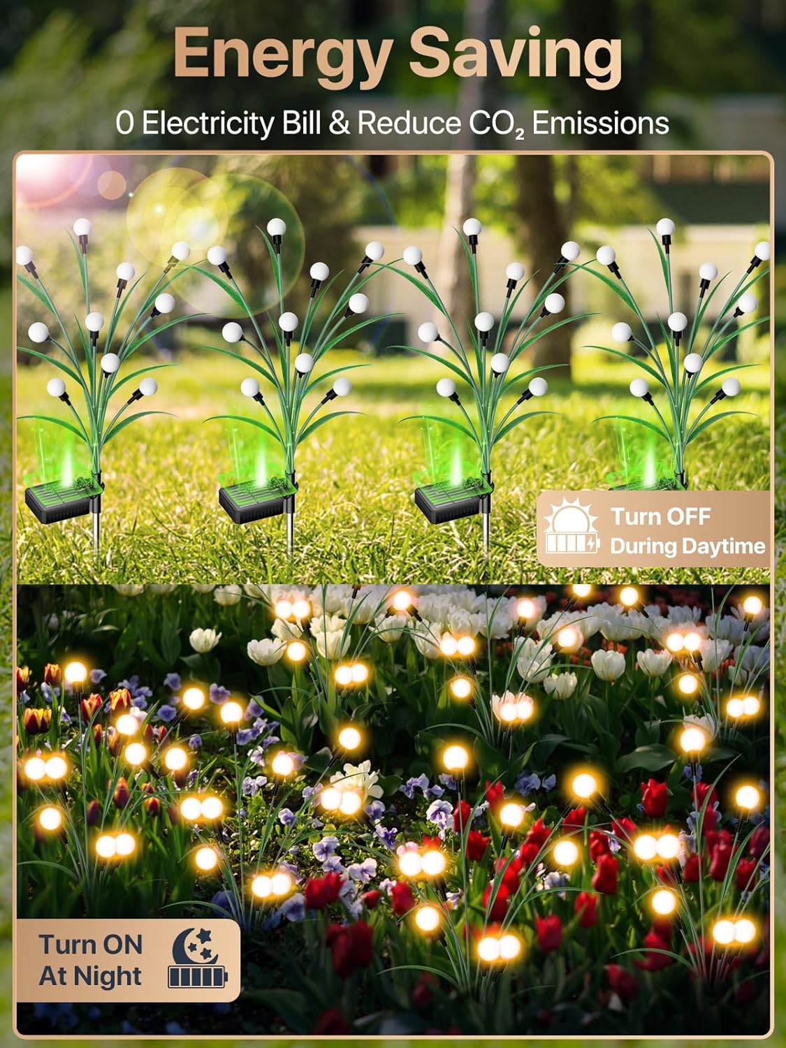 Miniatuur 3